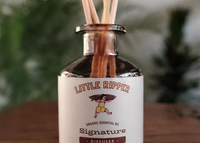 New Little Ripper Boutique